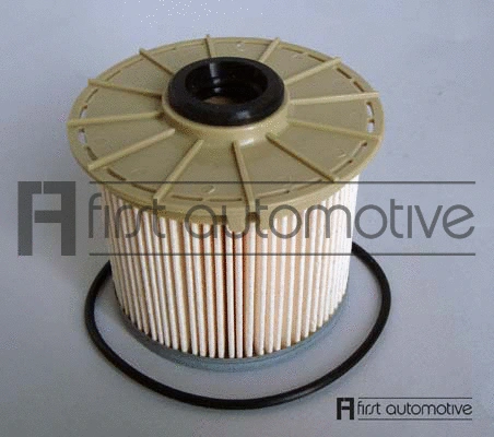 Fuel Filter (D21136)