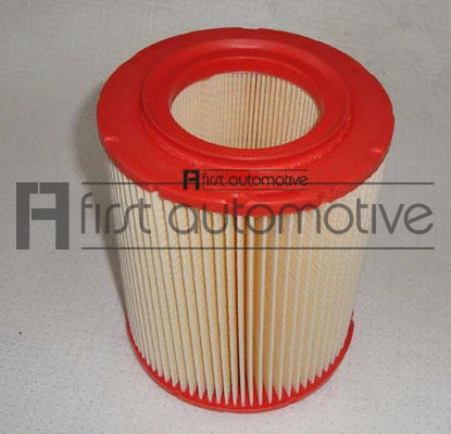 Air Filter (A60155)