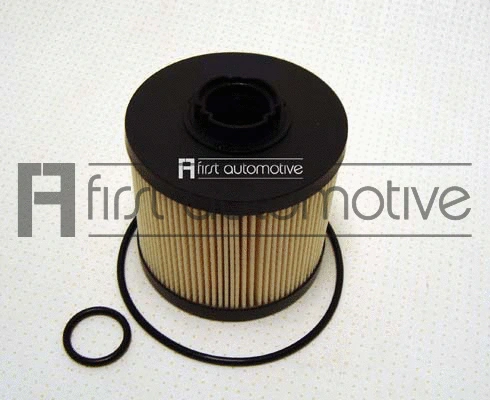 Fuel Filter (D20921)