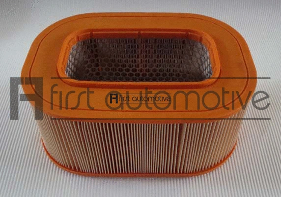 Air Filter (A60219)