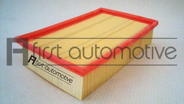Air Filter (A63102)