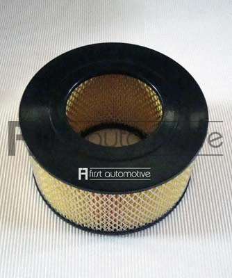 Air Filter (A63319)