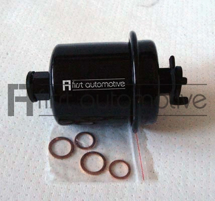 Fuel Filter (P10163)