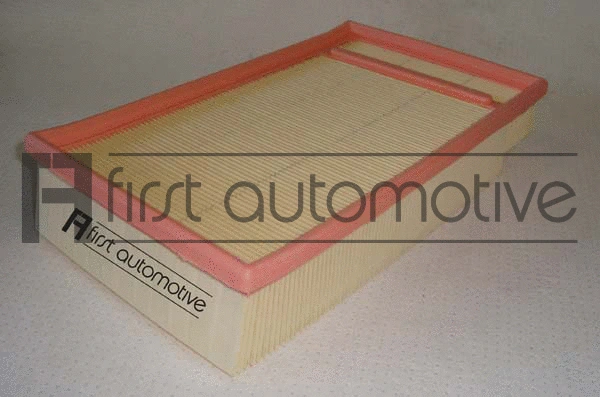 Air Filter (A62108)