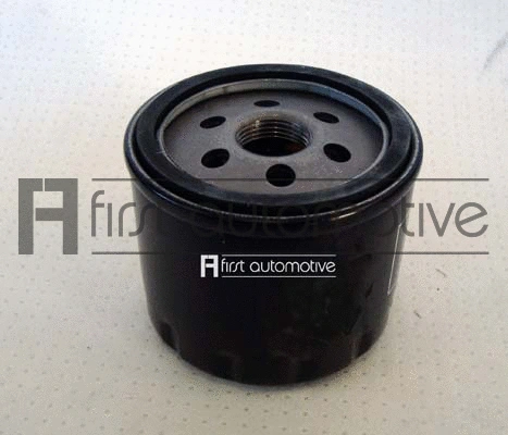 Oil Filter (L40110)