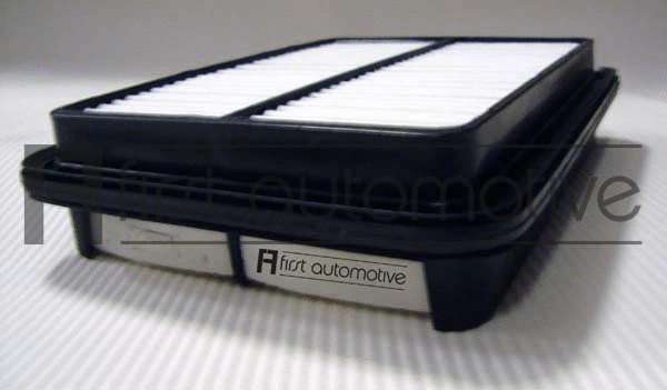 Air Filter (A60111)