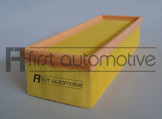 Air Filter (A60275)
