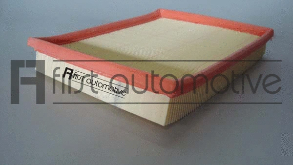 Air Filter (A60134)