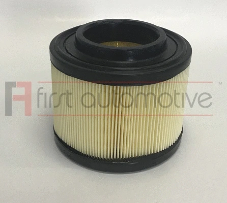 Air Filter (A63687)