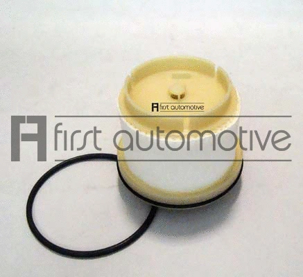 Fuel Filter (D21138)