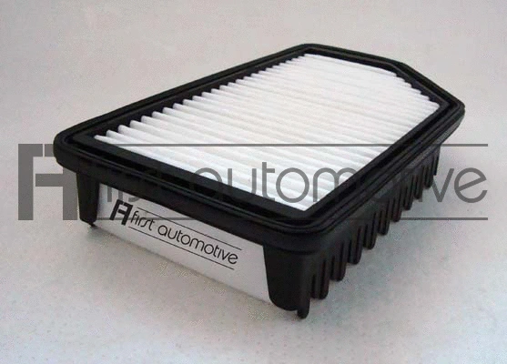 Air Filter (A63655)