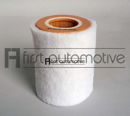 Air Filter (A63334)