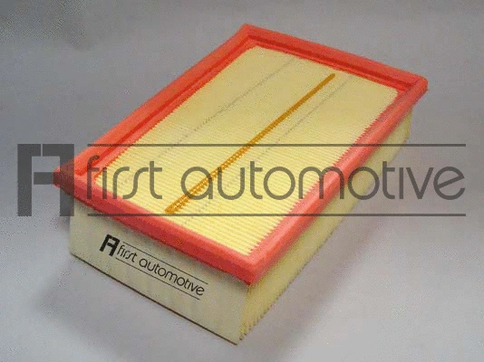 Air Filter (A63141)