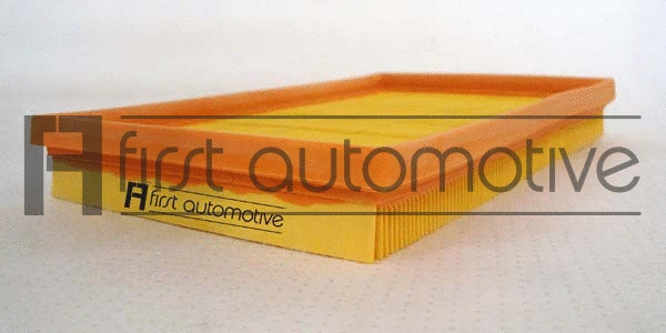 Air Filter (A63313)