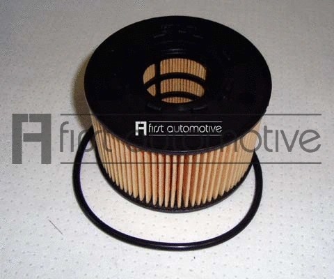 Oil Filter (E50124)