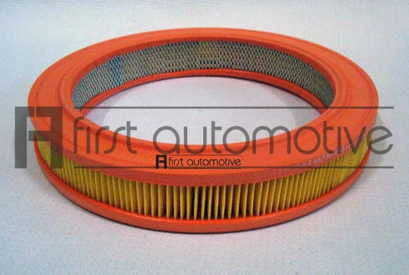 Air Filter (A60668)