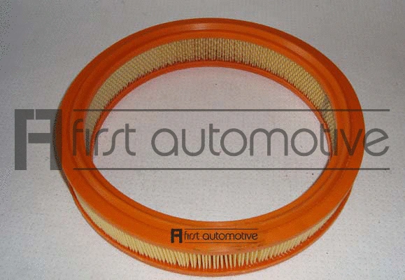 Air Filter (A60129)