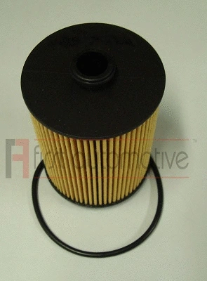 Oil Filter (E50290)