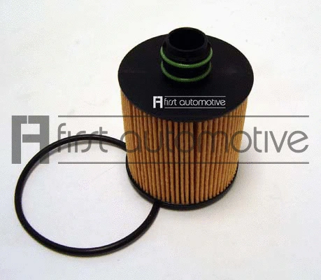 Oil Filter (E50243)