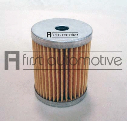 Fuel Filter (D21106)