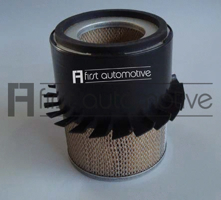 Air Filter (A60113)