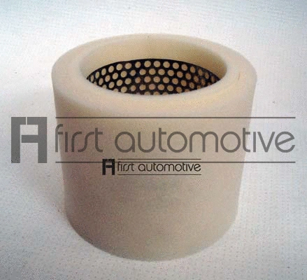 Air Filter (A60879)