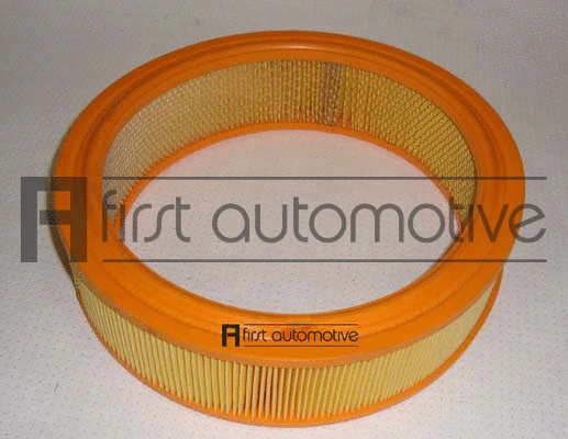 Air Filter (A60237)