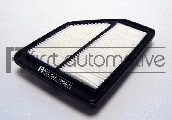 Air Filter (A63238)