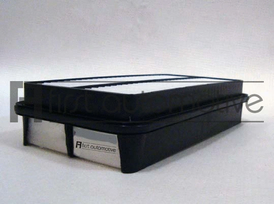 Air Filter (A60655)