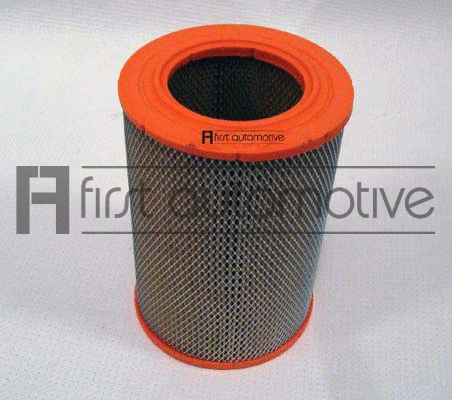 Air Filter (A60610)