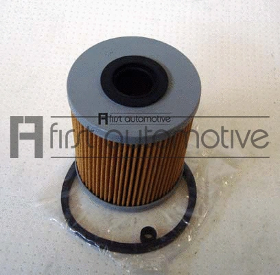 Fuel Filter (D20192)