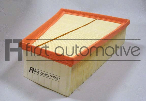 Air Filter (A63255)