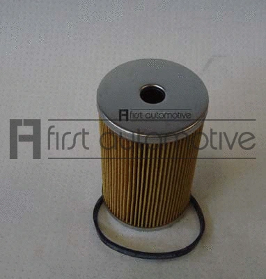 Fuel Filter (D21447)