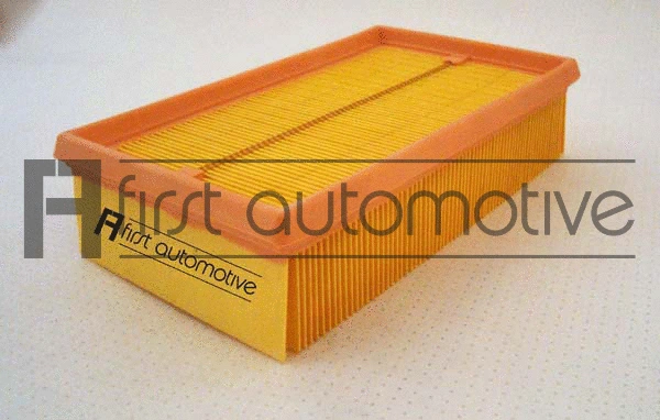 Air Filter (A63111)