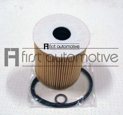 Oil Filter (E50110)