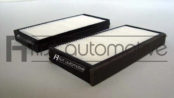 Filter, cabin air (C30362-2)