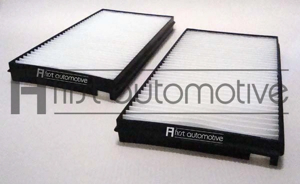 Filter, cabin air (C30238-2)