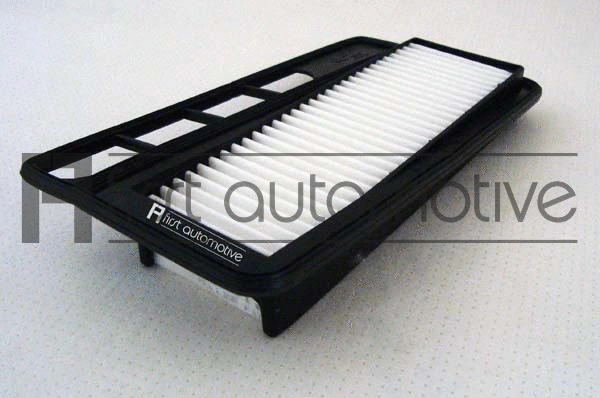 Air Filter (A63121)