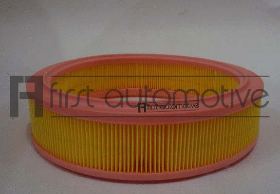 Air Filter (A60409)