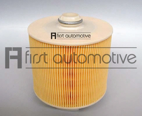 Air Filter (A63227)