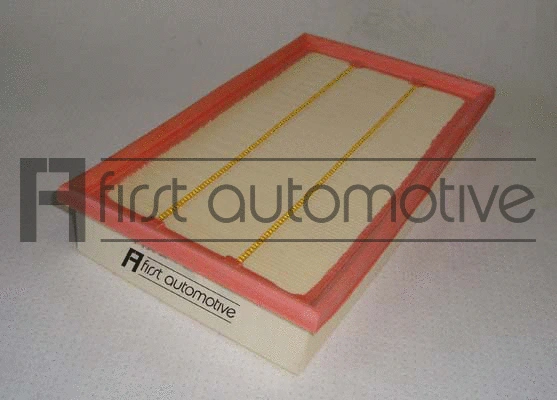 Air Filter (A60215)