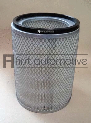 Air Filter (A63374)