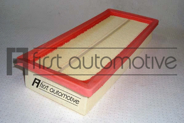 Air Filter (A62109)