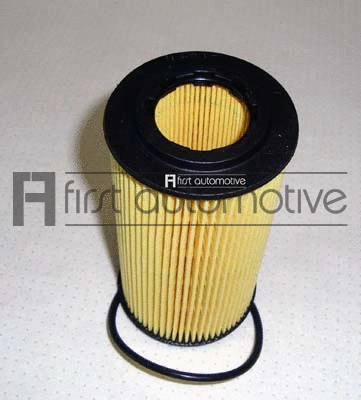 Oil Filter (E50244)