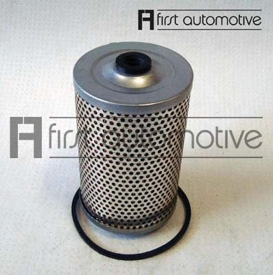 Fuel Filter (D21041)