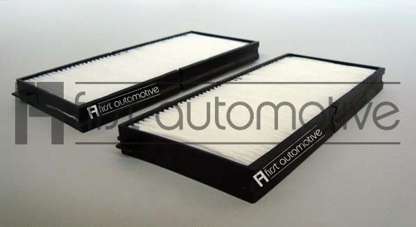 Filter, cabin air (C30385-2)