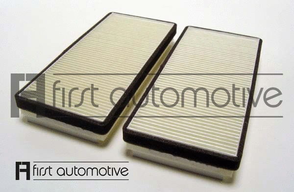 Filter, cabin air (C30260-2)