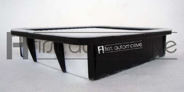 Air Filter (A63271)