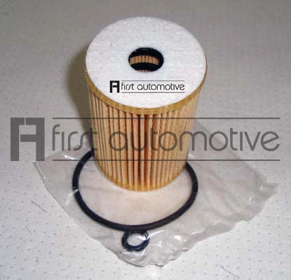 Oil Filter (E50206)