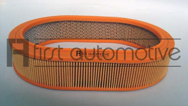 Air Filter (A60353)